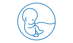 سونوگرافی غربالگری جنین